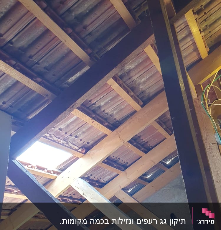 קורות עץ תומכות בגג רעפים עם פתח אור